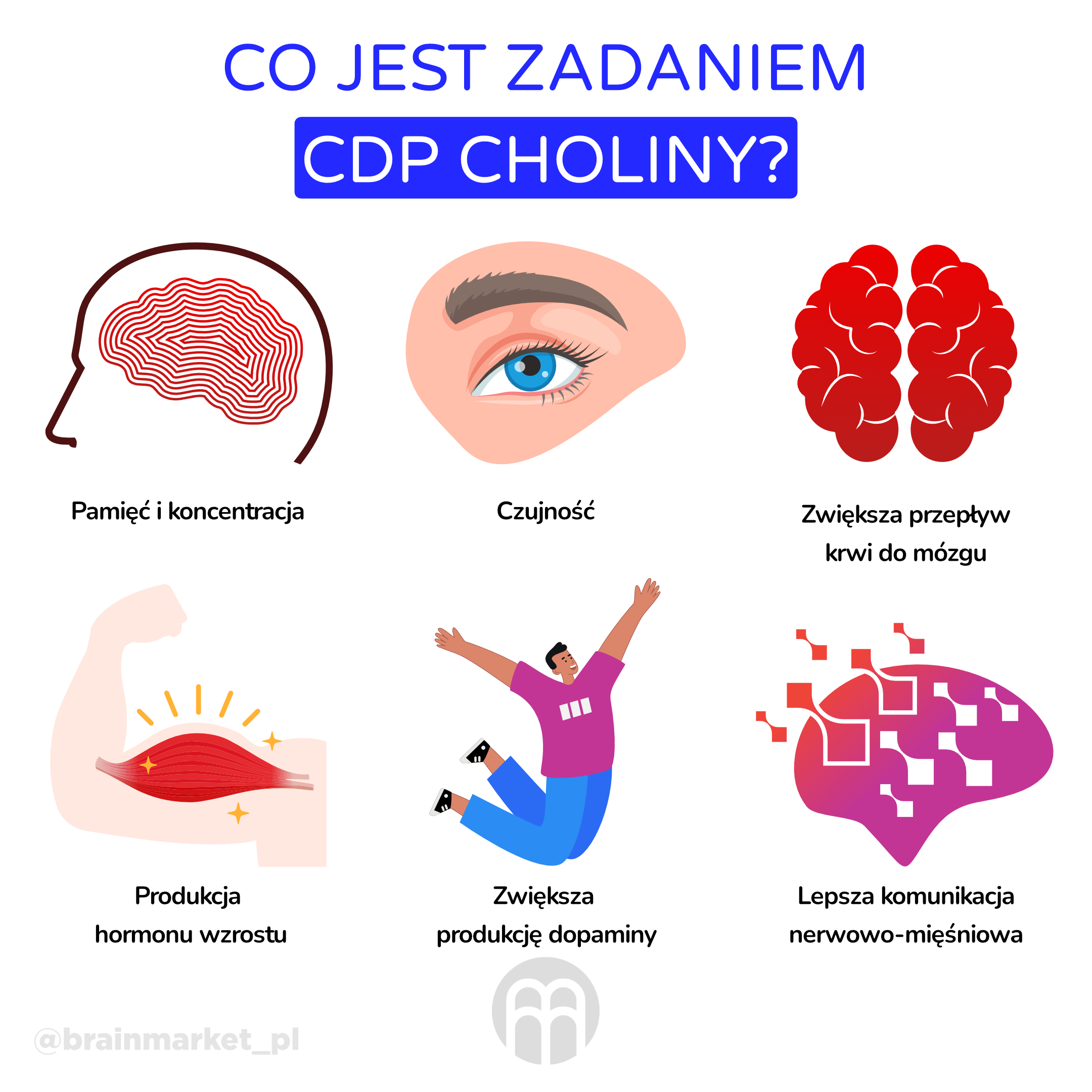 Co má na starost citikoline_infografika_pl